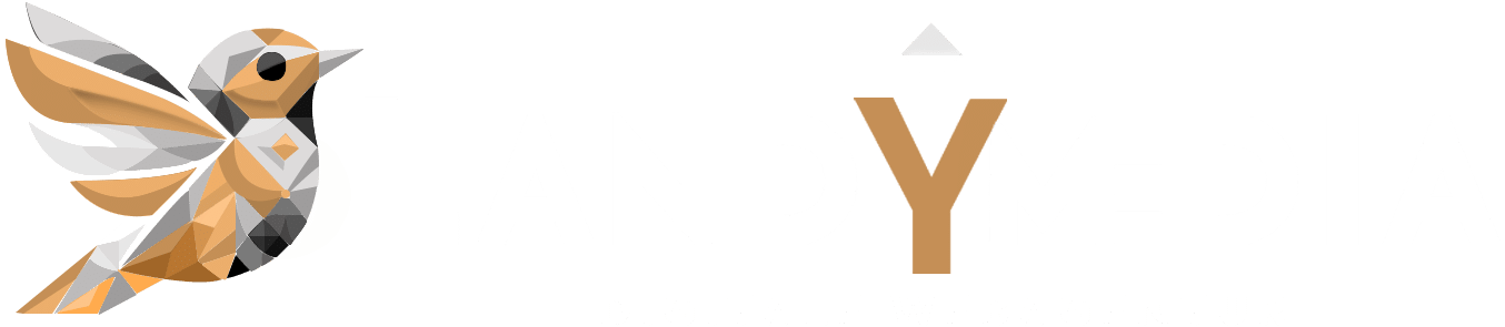 www.landymedia.com